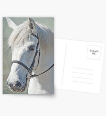 Ted Postcards
