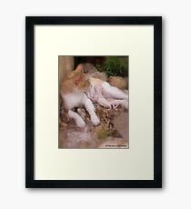 NEWBORN Framed Print