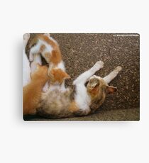 HAPPY MOTHERS DAY Canvas Print