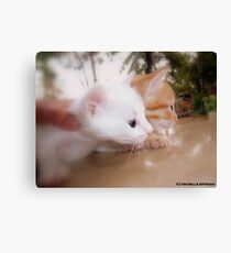 MARATHON Canvas Print