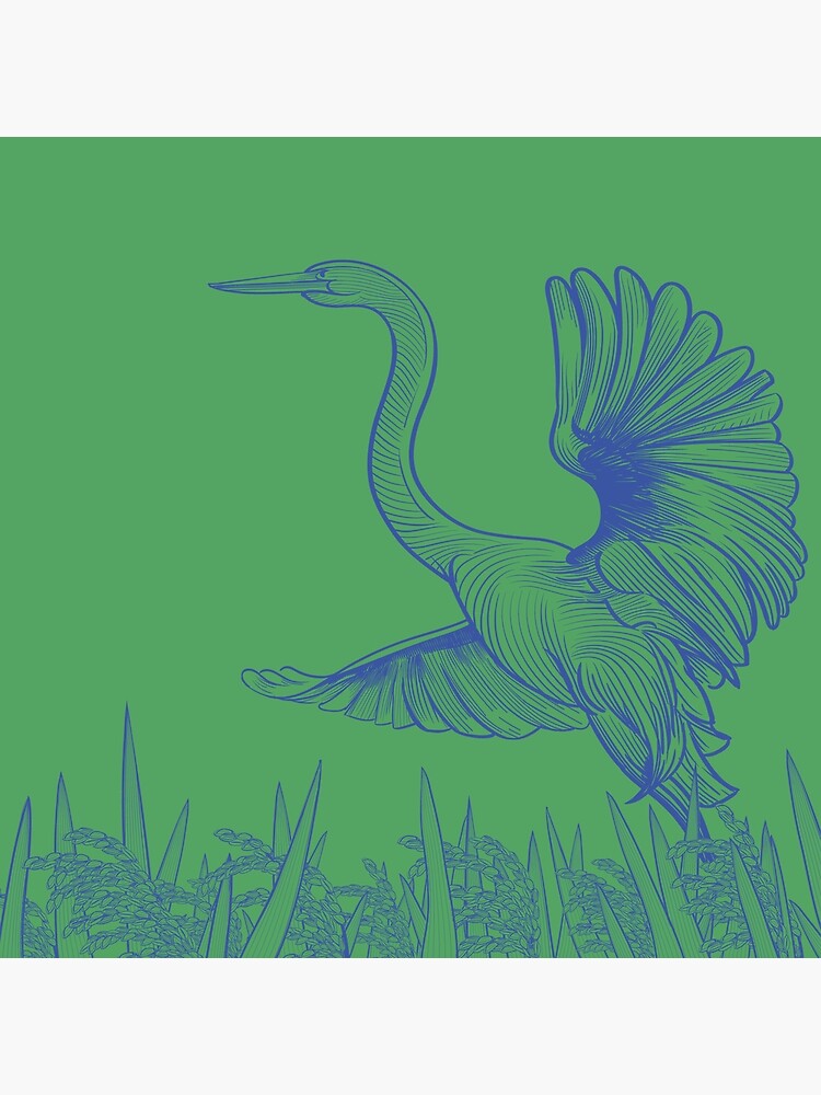 Egret Flying Over Rice by a-roderick