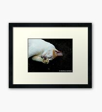 DRAMA Framed Print