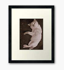 TENDERNESS Framed Print