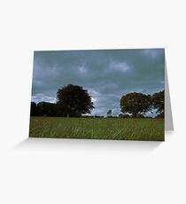 Castlegrove, Donegal Greeting Card