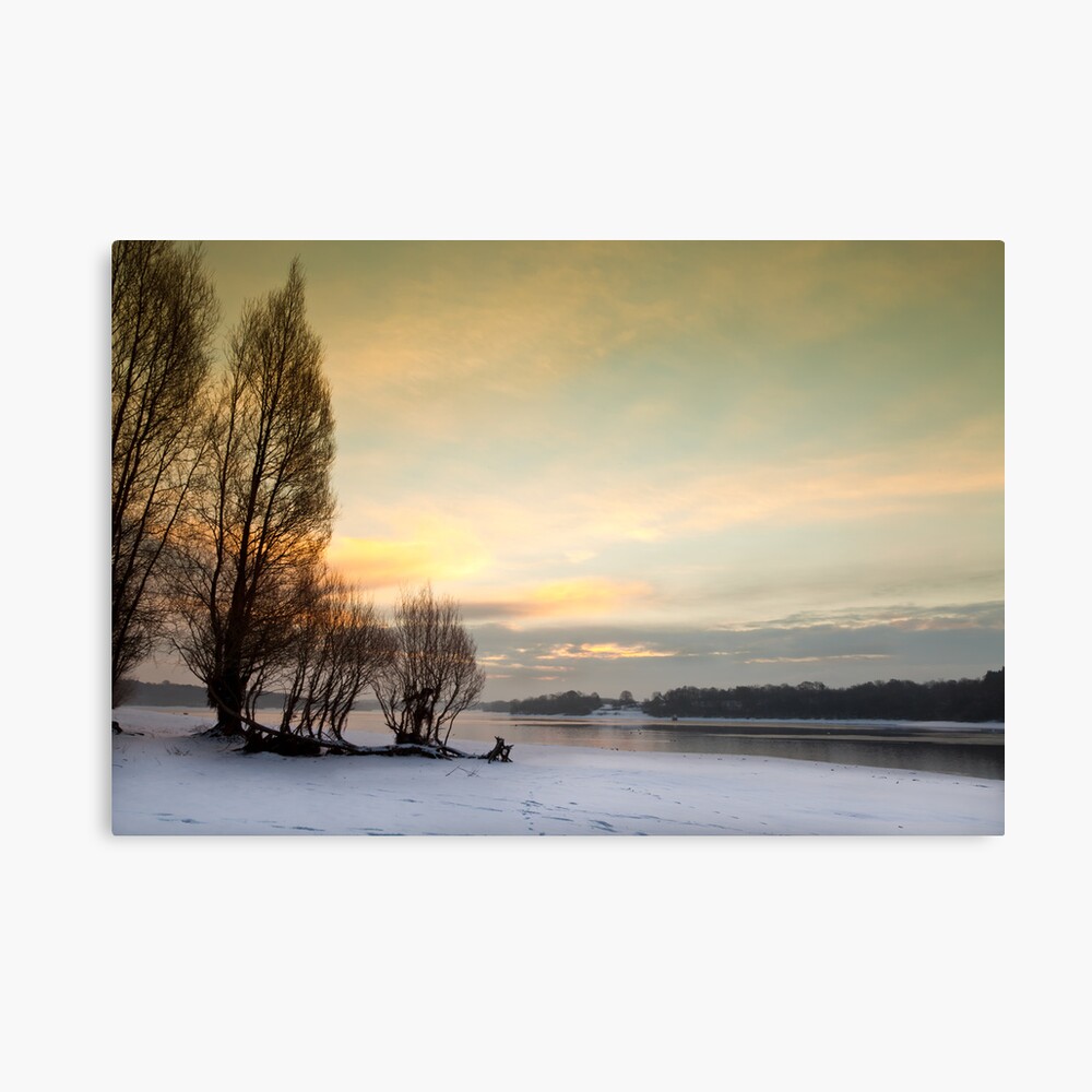 Cold Dawn - Bewl Water, East Sussex, UK Lienzo