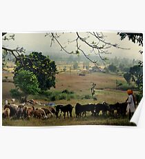 CountrySide Poster