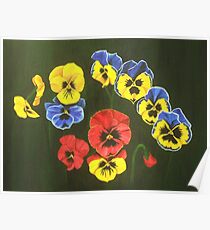 Pansy Lions 2 Poster