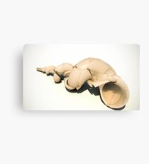 Conched Out Canvas Print