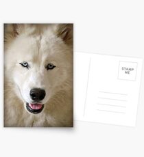 Roxy! Postcards
