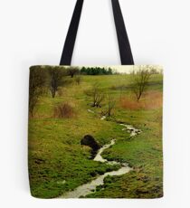 Hidden Image.............. Tote Bag