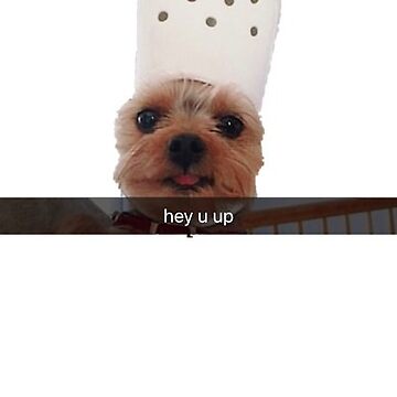 Puppy with croc hat meme | Sticker