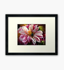 The poet's darling. Framed Print