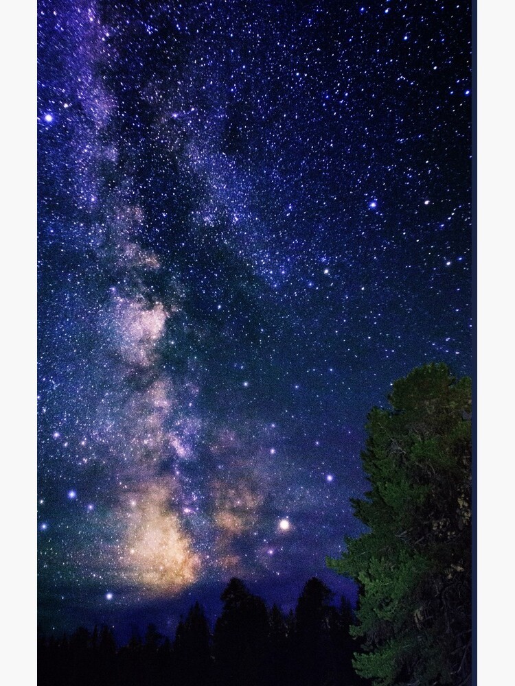 Milky Way by LivingSeaimages