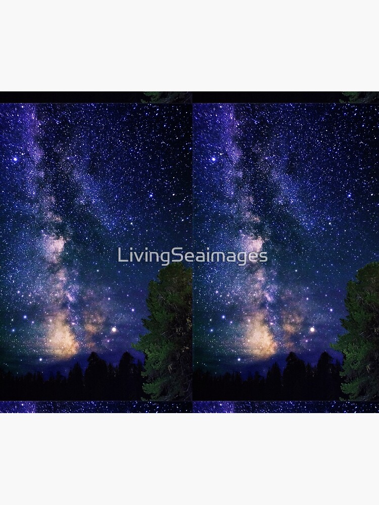 Milky Way by LivingSeaimages
