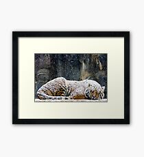 Warm Coat Framed Print
