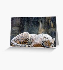 Warm Coat Greeting Card