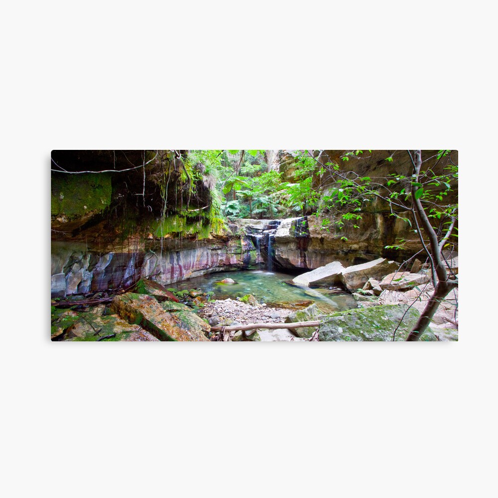 The Moss Gardens Canvas Print