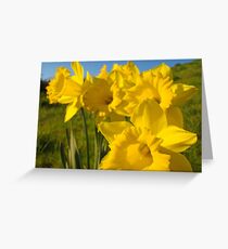 Golden Yellow Daffodil Flower Meadow art Baslee Troutman Greeting Card