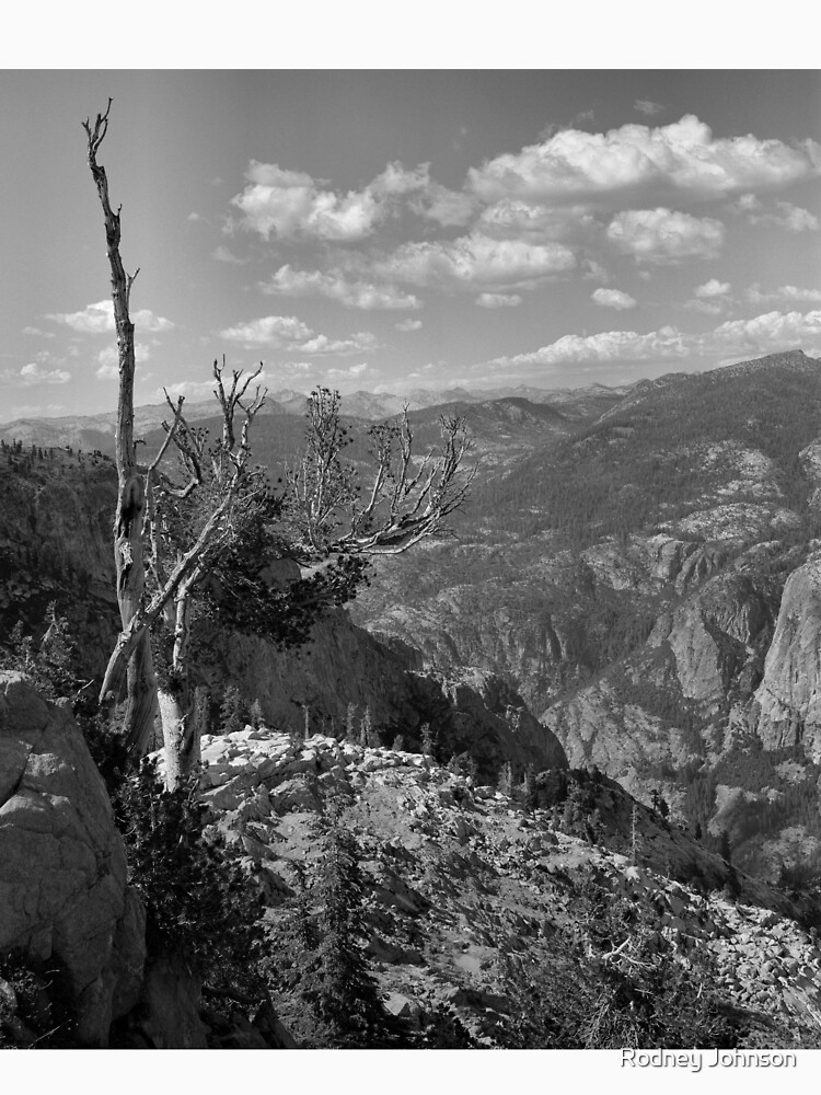 Grand Canyon of the Tuolumne - Yosemite N.P. by rodneyj46