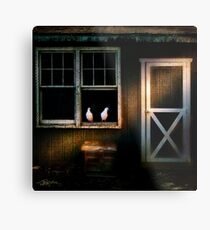 Coop Metal Print