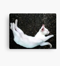 CONTORSIONIST Canvas Print