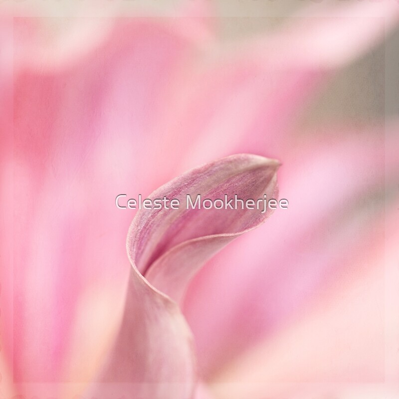 "Sway with me" by Celeste Mookherjee Redbubble