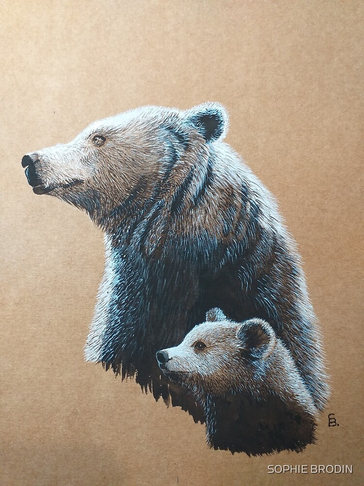 Dipper and Bear by SophieBrodin