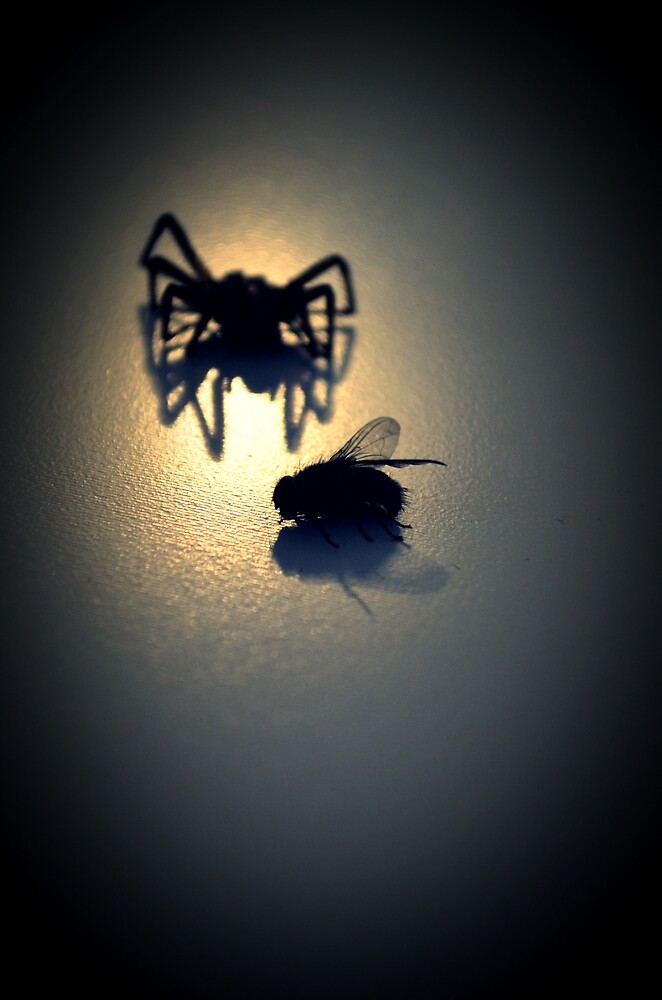 ''Will you step into my parlor?' said the spider to the fly...' by ...