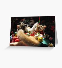 Venus & Di Milo ~ Serenity ~ Christmas Kittens Greeting Card