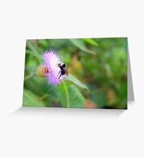 Busy Bumble Bee Greeting Card