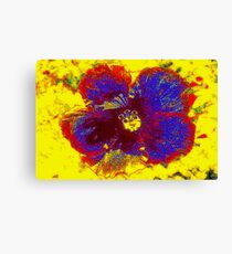 Hibiscus colors Canvas Print