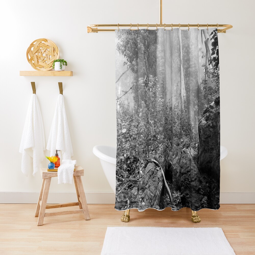 Eucalypti of Mount Sutro Shower Curtain