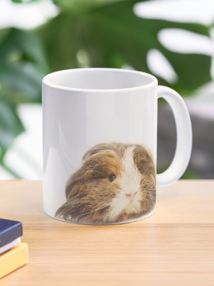Cute Sheltie Long Hair Guinea Pig Photo Print Mug By Emlosin