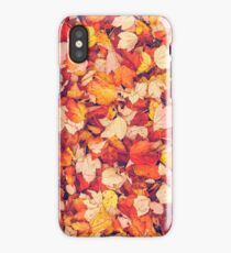 Scarlet Leaves iPhone Case/Skin