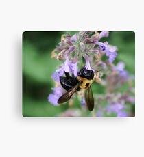 Just Bee Canvas Print