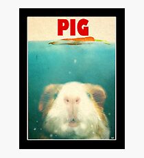 Little Sea Pig Photographic Print