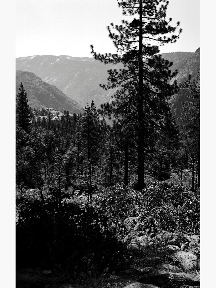 Near Hetch-Hetchy in Yosemite N.P. by rodneyj46