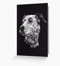 Beautiful Cooper Greeting Card