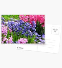 Spring Garden Postcards