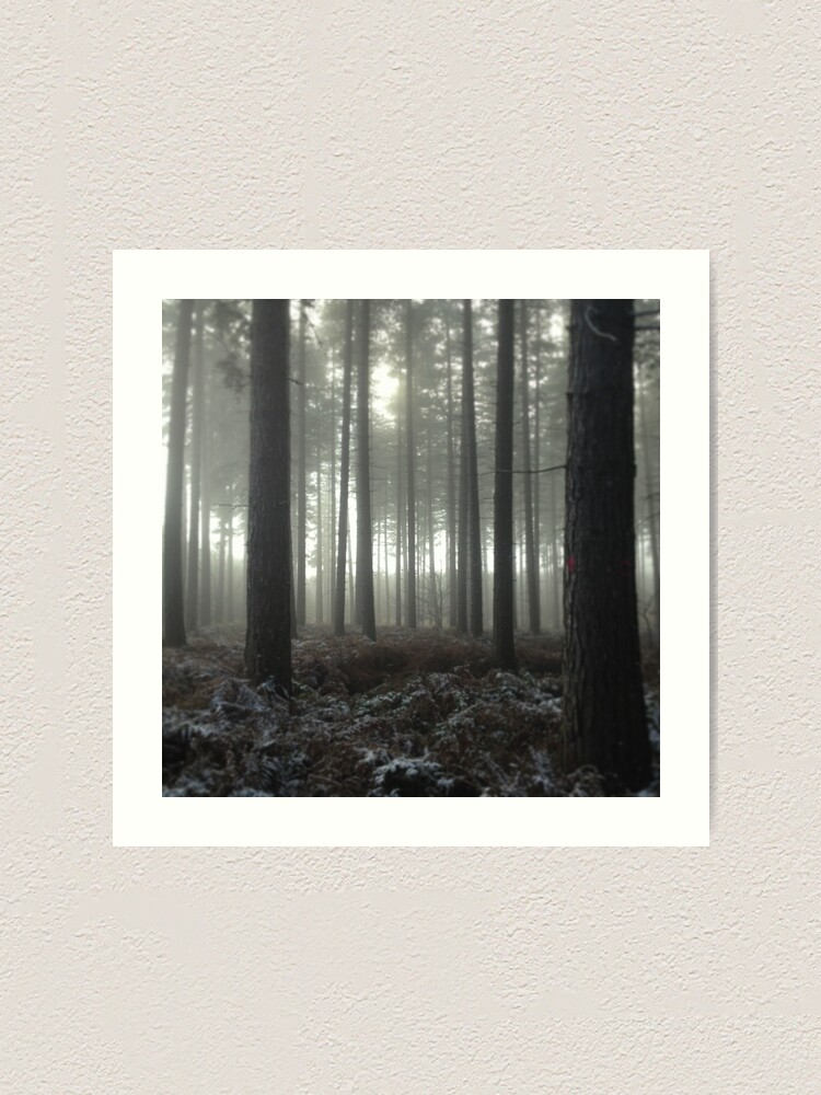 Alternate view of Sherwood Forest Art Print