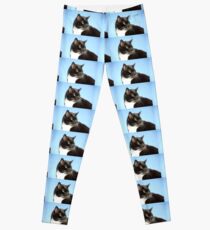 Black and white cat Leggings