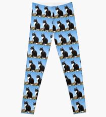 Senior black and white cat Leggings