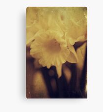 Pale Yellow Canvas Print