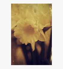 Pale Yellow Photographic Print