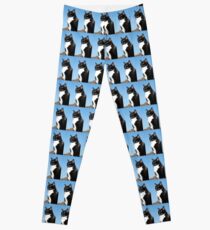 Mature black and white cat Leggings