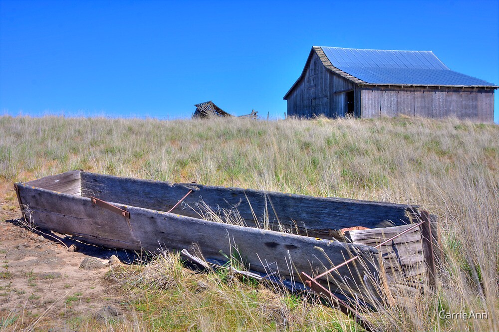 "Homestead Wood Water Trough" by CarrieAnn Redbubble