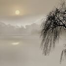 Mist