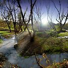Autumn Spring